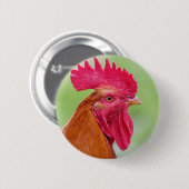 Rooster Close-up Ronde Button 5,7 Cm (Voorkant /achterkant)