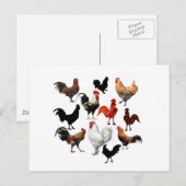 Rooster Collage Rustische kippen Briefkaart (Voorkant / Achterkant)