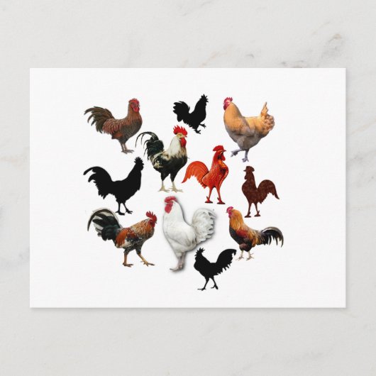 Rooster Collage Rustische kippen Briefkaart (Voorkant)