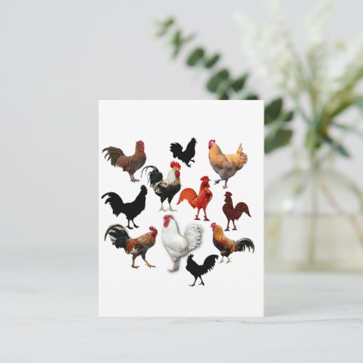 Rooster Collage  Rustische kippen Briefkaart (Staand voorkant)