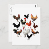Rooster Collage  Rustische kippen Briefkaart (Voorkant / Achterkant)