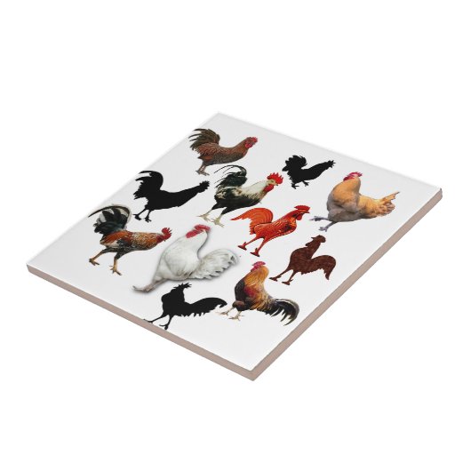 Rooster Collage  Rustische kippen Tegeltje (Zijkant)