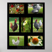 "Rooster Collectie" Poster (Voorkant)