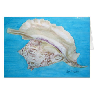 Rooster conch