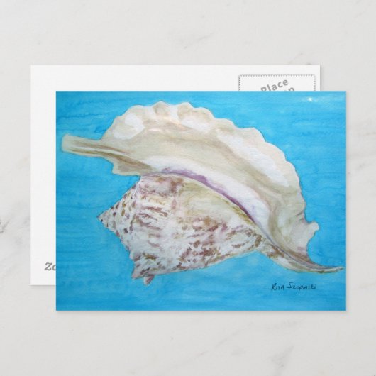 Rooster conch briefkaart (Voorkant / Achterkant)