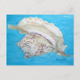 Rooster conch briefkaart