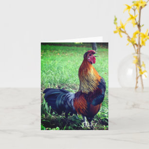 Rooster Croster Boerderij Animal Note Kaart