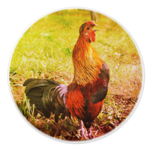 Rooster Croster Boerderij Dierlijk Abstract Keramische Knop