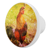 Rooster Croster Boerderij Dierlijk Abstract Keramische Knop (Rechts)