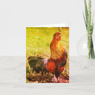 Rooster Crosting Boerderij Animal Art Note Kaart