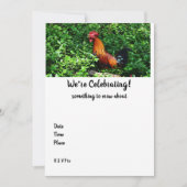 Rooster Crowing (Voorkant)