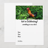 Rooster Crowing (Voorkant / Achterkant)