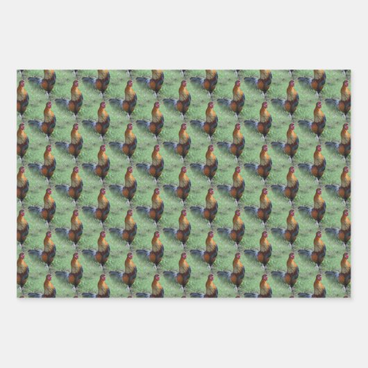 Rooster Crowing Animal Natuur Pattern Inpakpapier Vel (Voorkant)