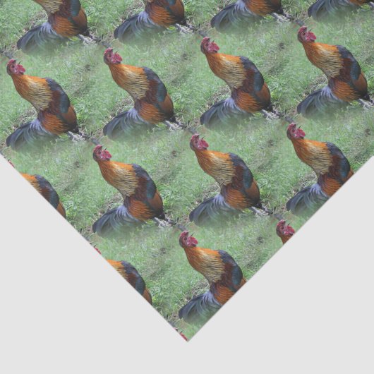 Rooster Crowing Animal Natuur Pattern Tissuepapier (Detail)