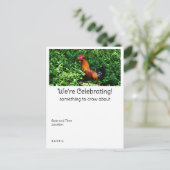 Rooster Crowing Briefkaart (Staand voorkant)