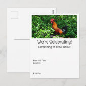 Rooster Crowing Briefkaart (Voorkant / Achterkant)