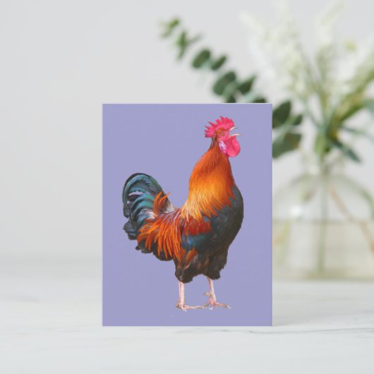 Rooster Crowing Briefkaart (Staand voorkant)