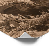 Rooster Crowing In Sepia Brown Farm Animal Poster (Hoek)