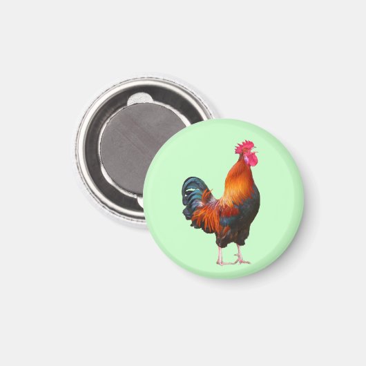 Rooster Crowing Magnet (Voorkant / Achterkant)