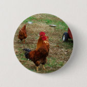 Rooster Crowing Ronde Button 5,7 Cm (Voorkant)