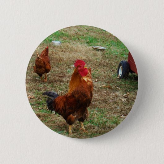 Rooster Crowing Ronde Button 5,7 Cm (Voorkant)
