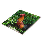 Rooster Crowing Tegeltje (Zijkant)