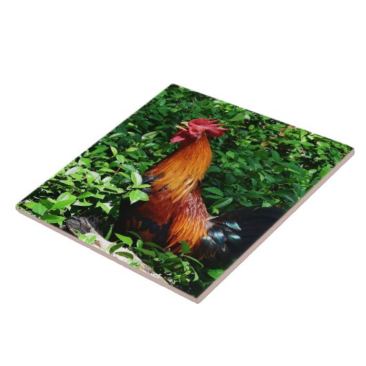 Rooster Crowing Tegeltje (Zijkant)