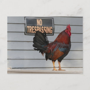 Rooster die een belangrijk Poster van West Porch b Briefkaart