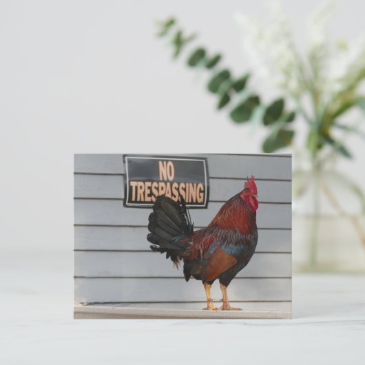 Rooster die een belangrijk Poster van West Porch b Briefkaart (Staand voorkant)