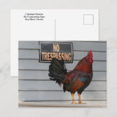 Rooster die een belangrijk Poster van West Porch b Briefkaart (Voorkant / Achterkant)