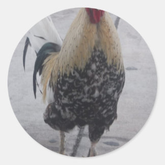 Rooster Doodle Doo Ronde Sticker