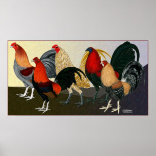 Rooster Dream Team Poster