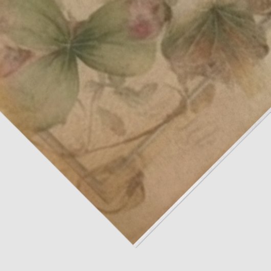 Rooster drie tissuepapier (Detail)