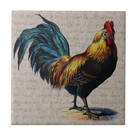  Rooster en Antiek tekstopslag - Aangepast Tegeltje (Voorkant)
