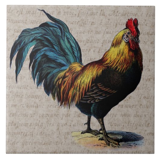 Rooster en Antiek tekstopslag - Aangepast Tegeltje (Voorkant)
