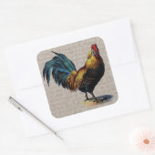  Rooster en Antiek tekstopslag - Aangepast Vierkante Sticker (Envelop)