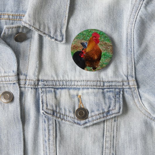 Rooster en Black Hen Ronde Button 5,7 Cm (In situ)