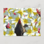 Rooster en Frangipanis Briefkaart (Voorkant)