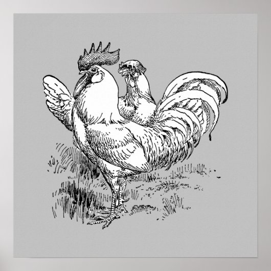 Rooster en Hen - Archiefafdruk Poster (Voorkant)