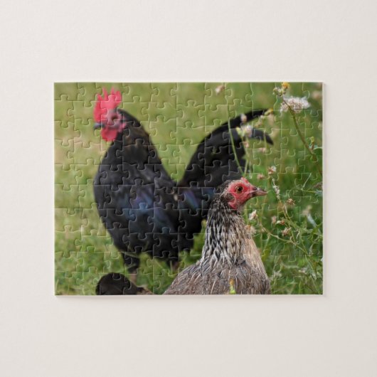 Rooster en Hen Legpuzzel (Horizontaal)