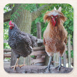 Rooster- en Hen-Onderzetters Kartonnen Onderzetters