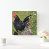 Rooster en Hen Vierkante Klok (Huis)