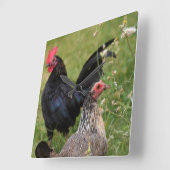 Rooster en Hen Vierkante Klok (Hoek)