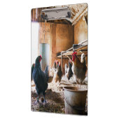 Rooster en hennen in Barn Klembord (Links)