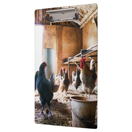 Rooster en hennen in Barn Klembord (Links)