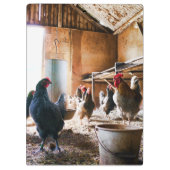 Rooster en hennen in Barn Klembord (Achterkant)