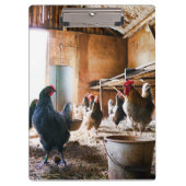 Rooster en hennen in Barn Klembord (Voorkant)