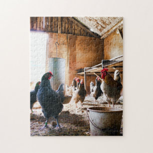 Rooster en hennen in Barn Legpuzzel