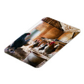 Rooster en hennen in Barn Magneet (Linkerzijde)