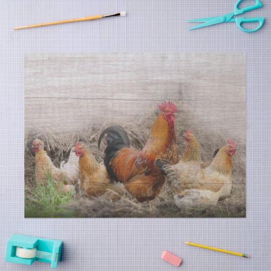 Rooster en hennen tissuepapier (Craft)